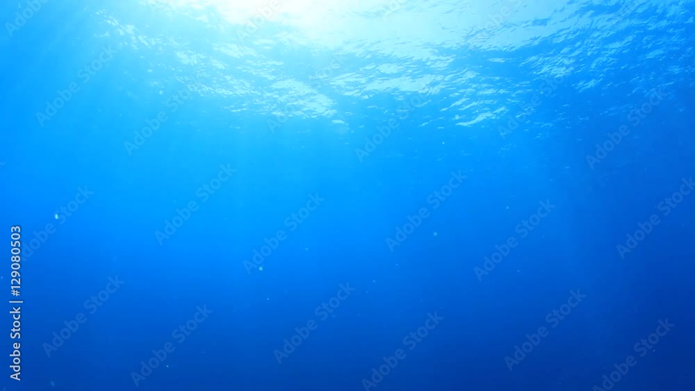Underwater blue background in ocean Underwater blue background in ocean