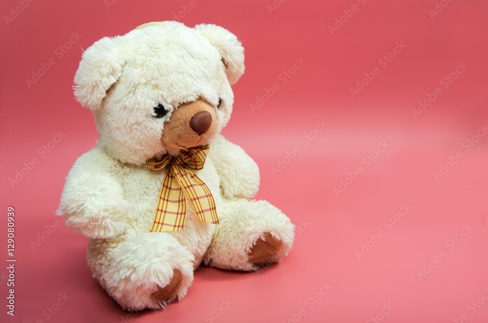 Bear soft toy, isolated Bear soft toy, isolated