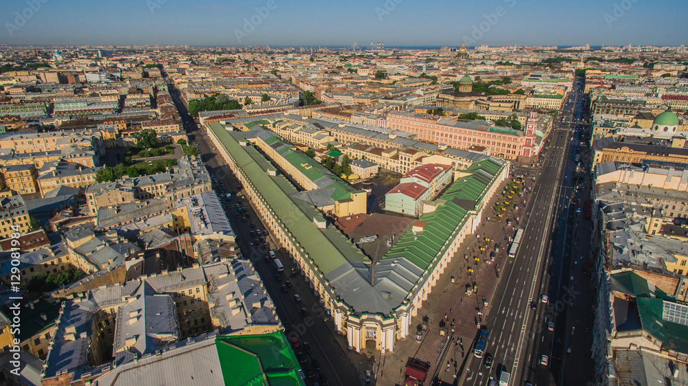 Aerial view of city center in St. Petersburg