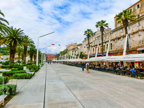 City of Split palm waterfront view, Dalmatia, Croatia