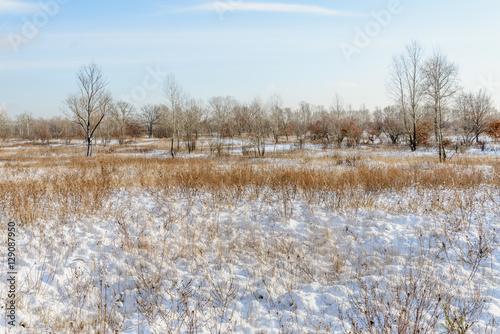 Lowland Covered by Snow