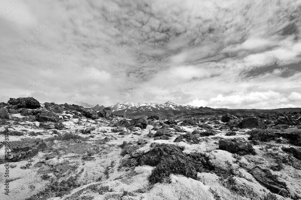 Volcanic landscape around Tongariro Crossing in Tongariro National Park in the North Island of New Zealand