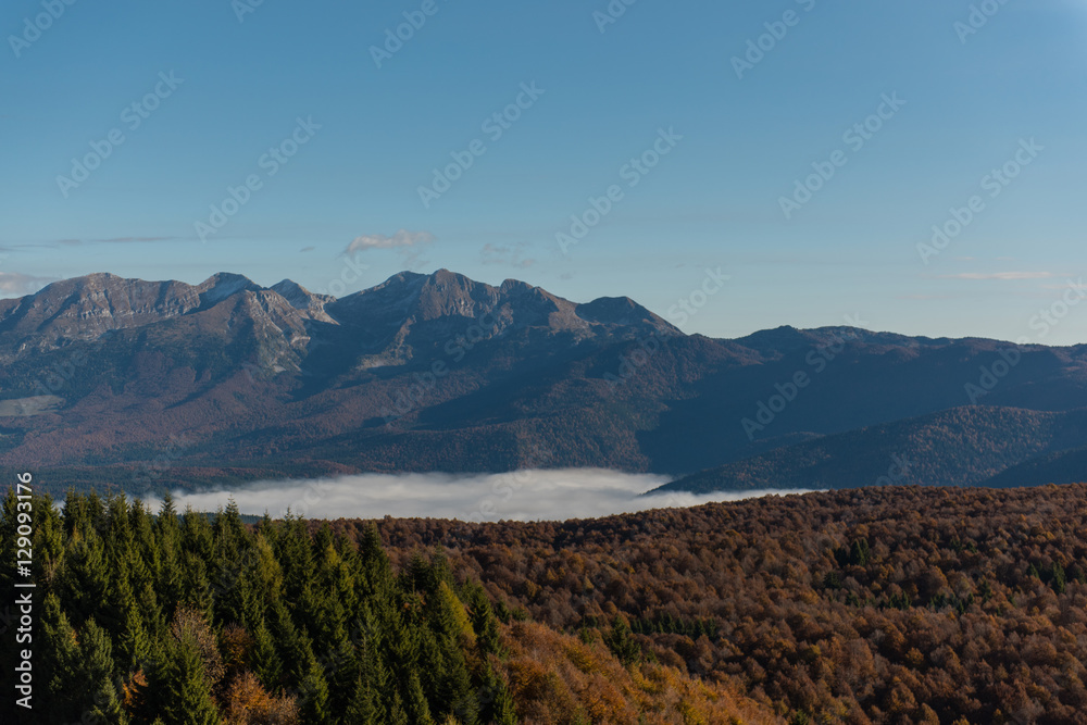 Naklejka premium Cansiglio