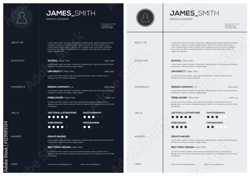Flat Resume with Infographics and Timeline. Vector Illustration


