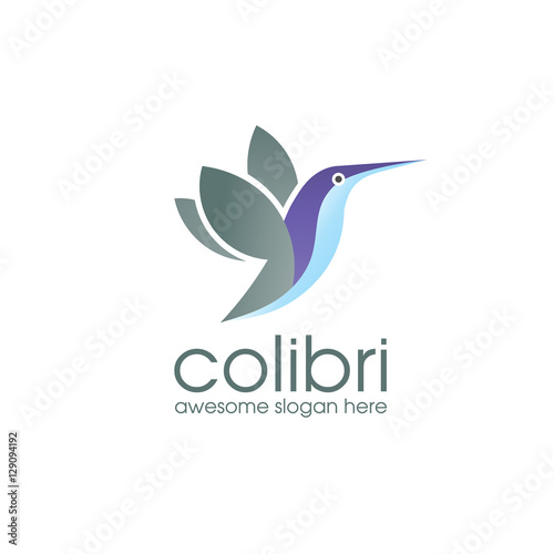 Colibri Logo Bird symbol design template. Hummingbird vector Bird cute character logo.
