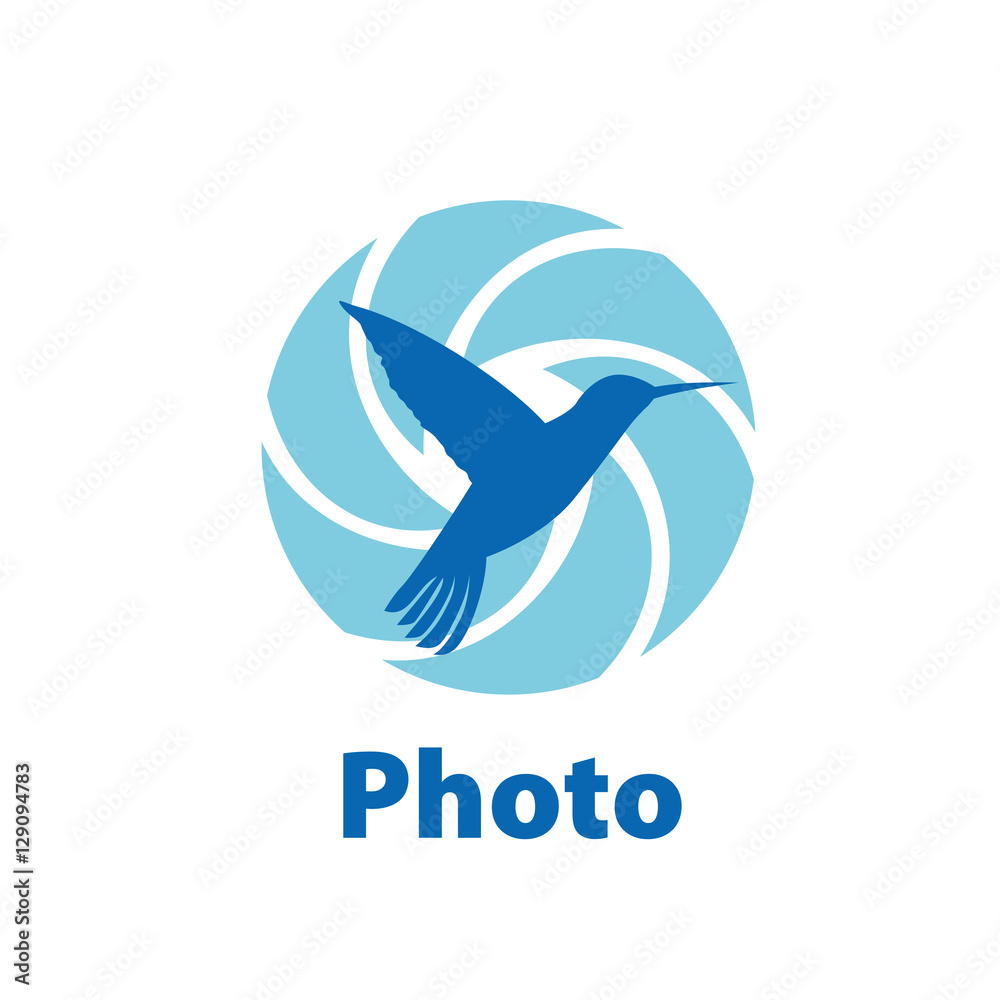 Fototapeta premium Vector logo camera
