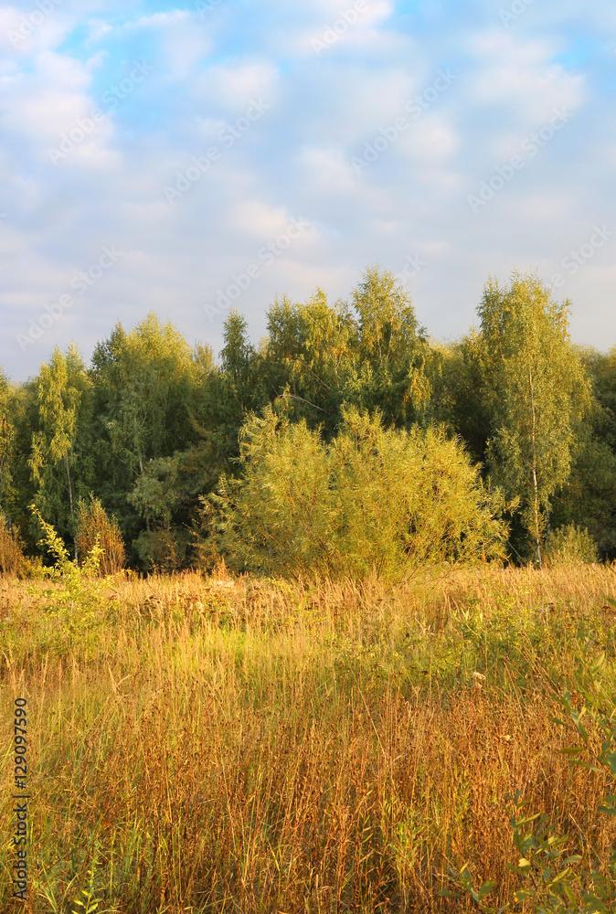 Autumn landscape Autumn landscape