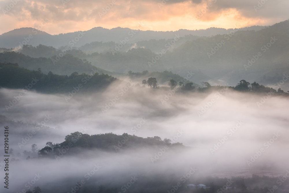 Morning fog and the beautiful sun light in a landscape