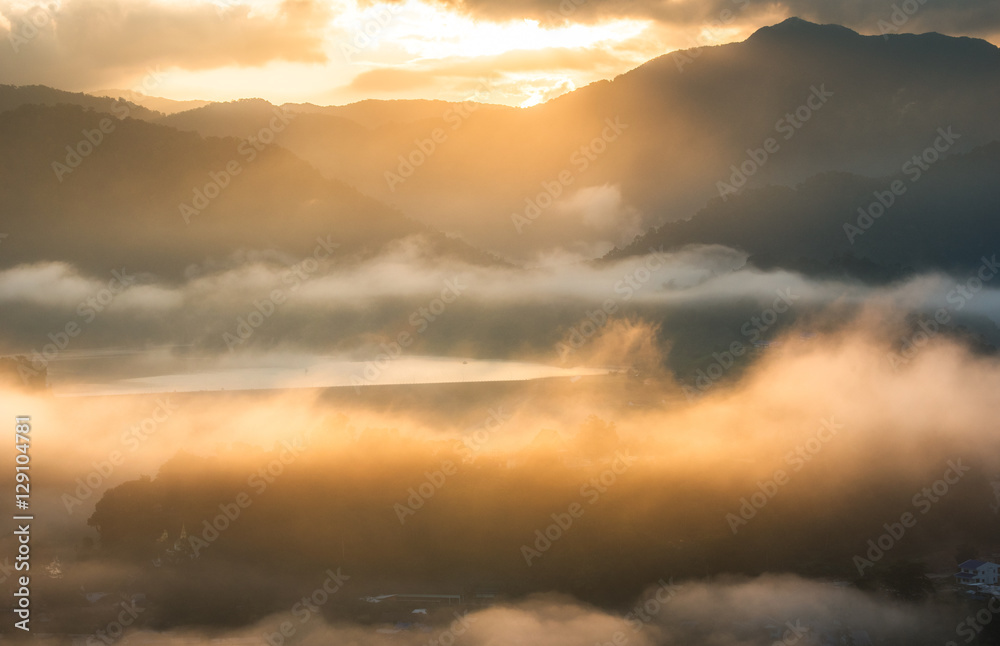Morning fog and the beautiful sun light in a landscape