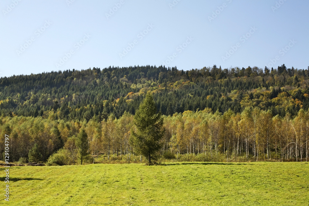 Landscape near Ustjanowa Gorna. Poland