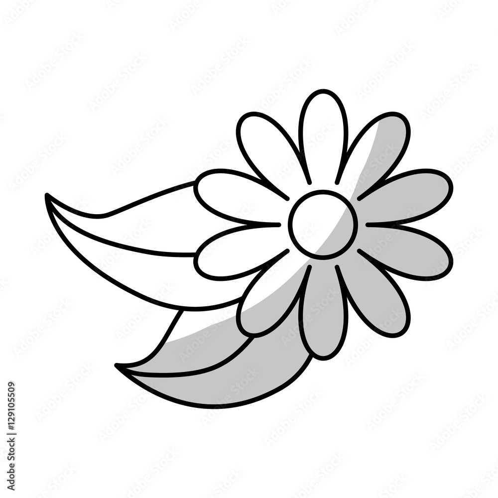beautiful flower with leaves icon over white background. vector illustration