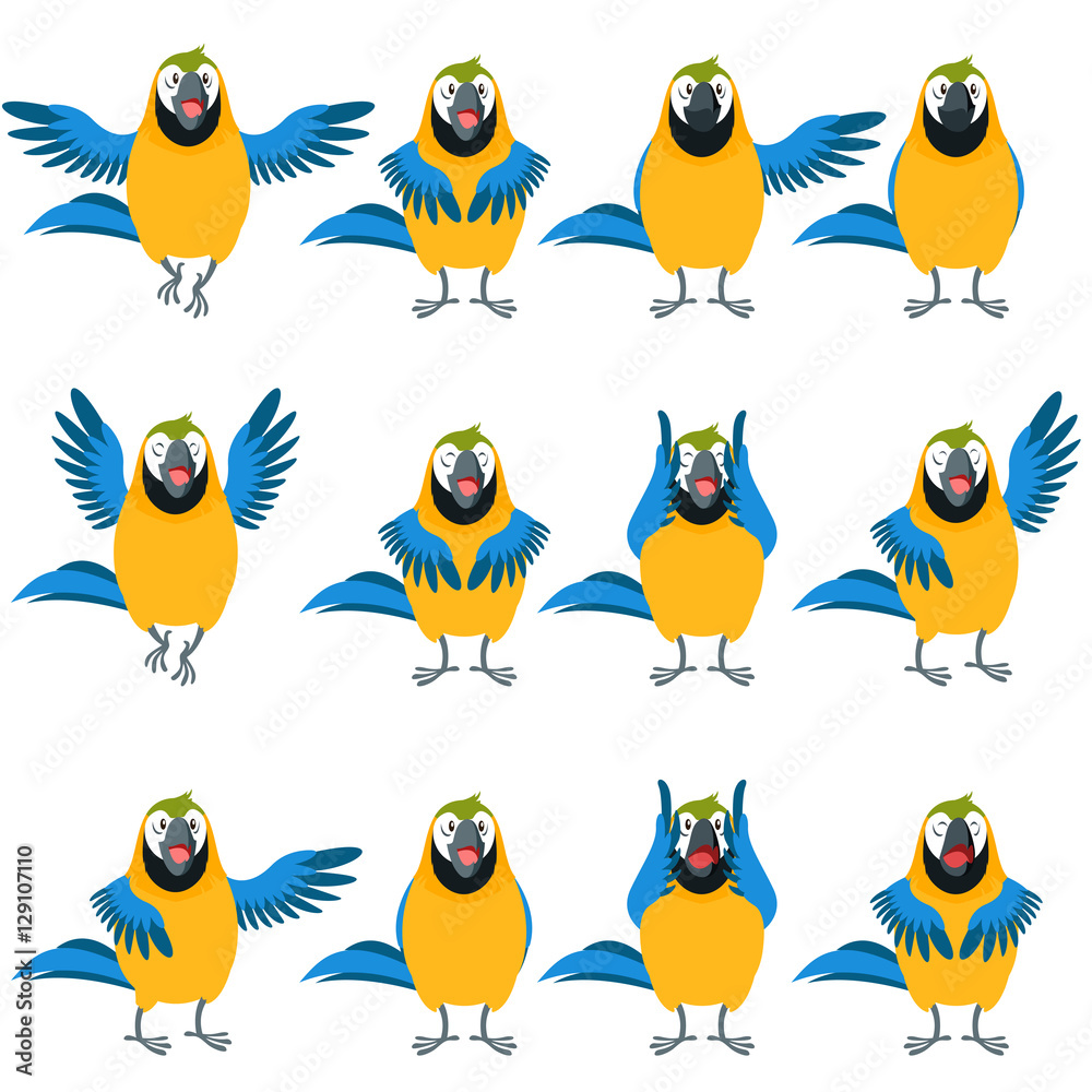 Flat set of Macaw icons