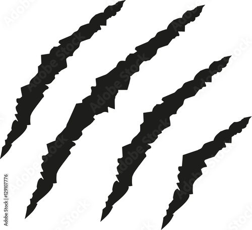 Cat claws scratches
