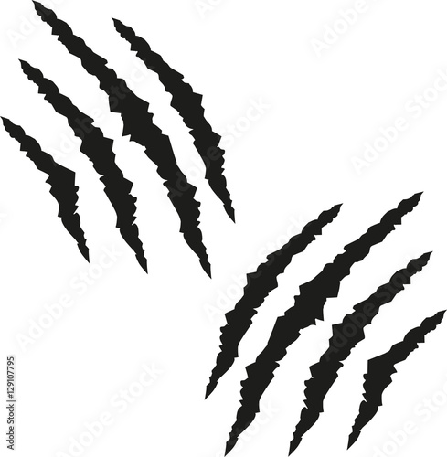 Claw scratch marks
