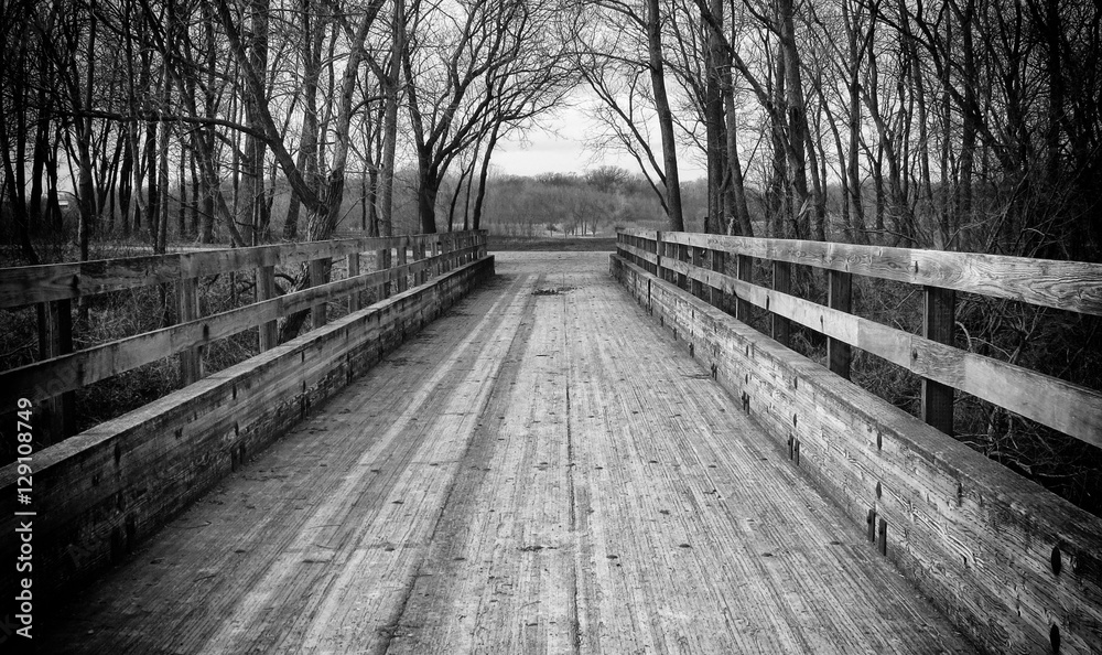 Bridge Black and white