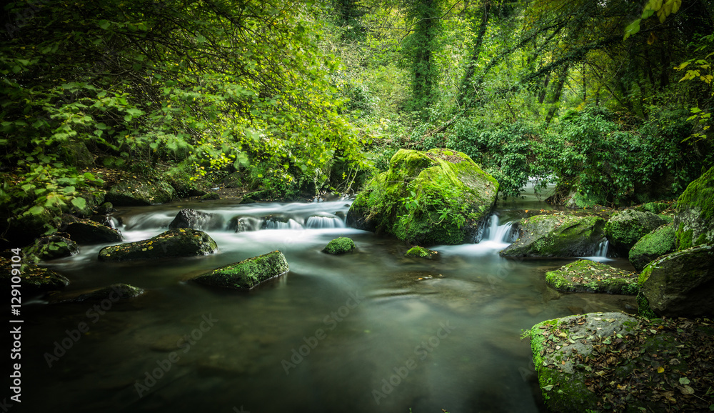 Naklejka premium Ruscello 02