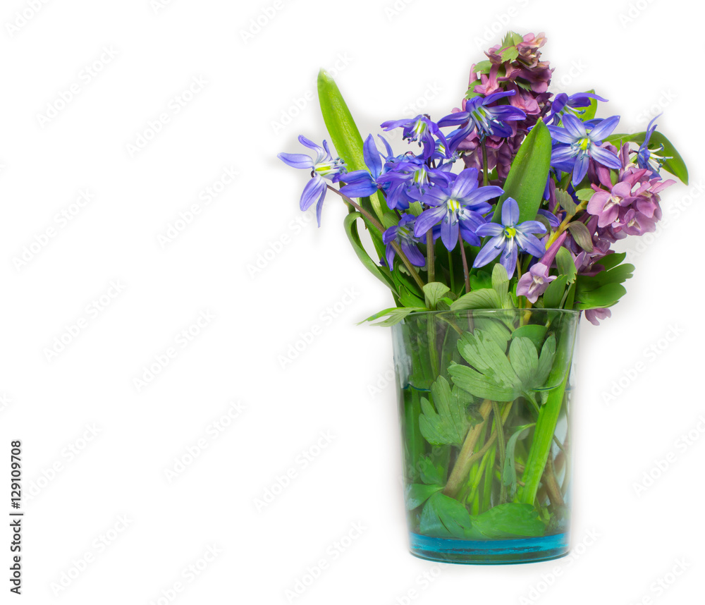 spring flowers bouqet spring flowers bouqet