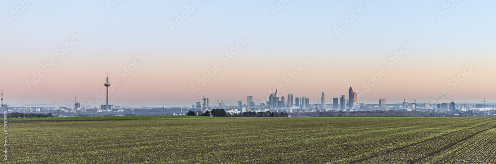 view of Frankfurt skyline with fields by night
