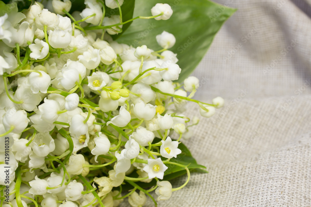 Φωτογραφία convallaria ,spring flowers
