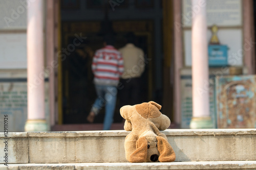lost stuffed animal India varanasi