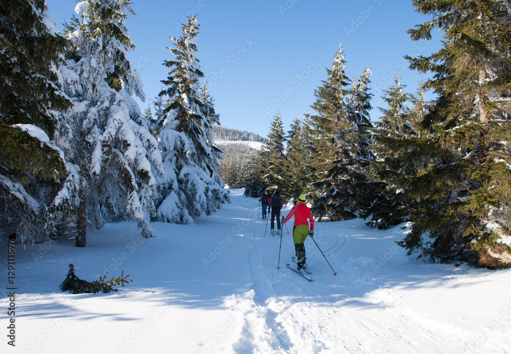 Skitouring w Masywie Śnieżka, Kotlina Kłodzka 