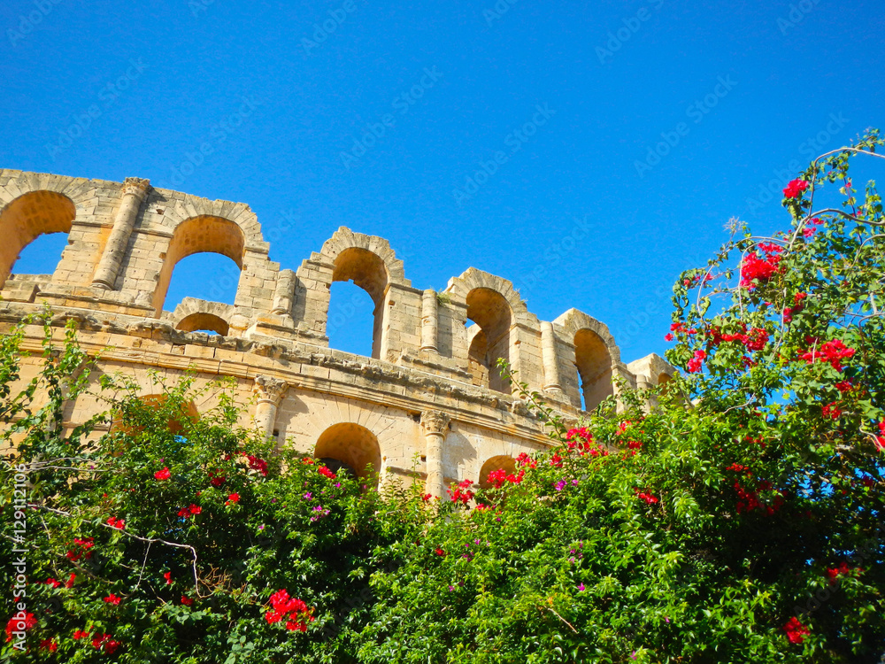 El Jem amphitheatre at sky background with flower tree