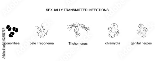 causative agents of genital infections photo