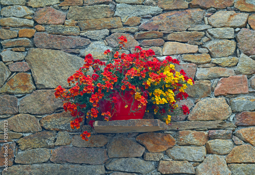 Fototapeta Naklejka Na Ścianę i Meble -  Old stone wall with flowers in a pot as background