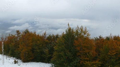 Flying over the treetops in the mountains. Mountain autumn landscape