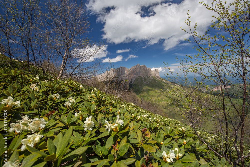 Fototapeta premium Russia, timelapse. The formation and movement of clouds over the summer slopes of Adygea Bolshoy Thach and the Caucasus Mountains