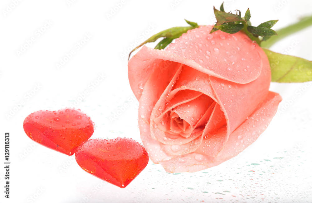 Rose with drops of water and two hearts nearby Rose with drops of water and two hearts nearby
