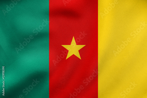 Flag of Cameroon waving, real fabric texture
