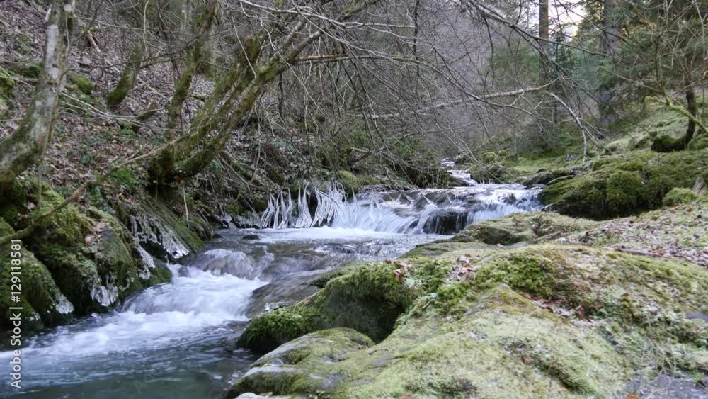 Cold mountain stream flowing over rocks in forest Cold mountain stream flowing over rocks in forest