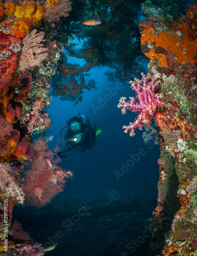 Fototapeta Naklejka Na Ścianę i Meble -  Woman diver amongst the soft corals on the wreck of the Liberty, Tulamben, Bali