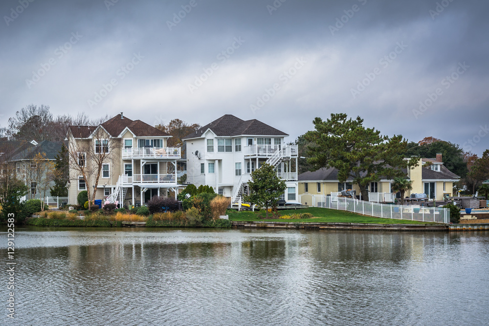 Houses along the shore of Lake Holly, in Virginia Beach, Virgini