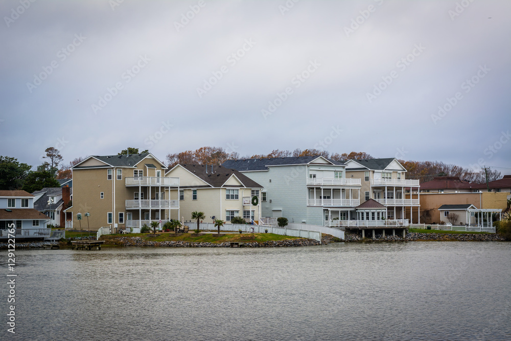 Houses along the shore of Lake Holly, in Virginia Beach, Virgini