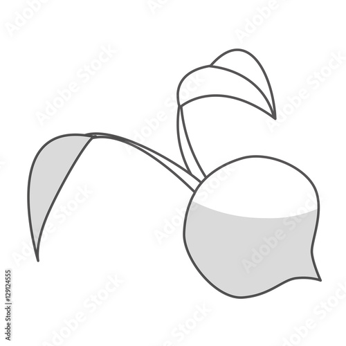 beetroot vegetable icon over white background. black and white design. vector illustration