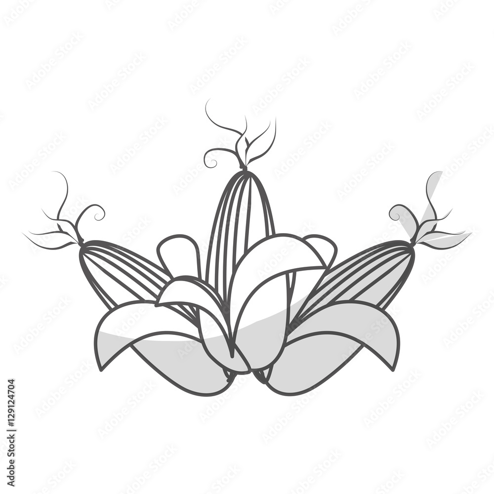 Obraz premium corn vegetable icon over white background. black and white design. vector illustration