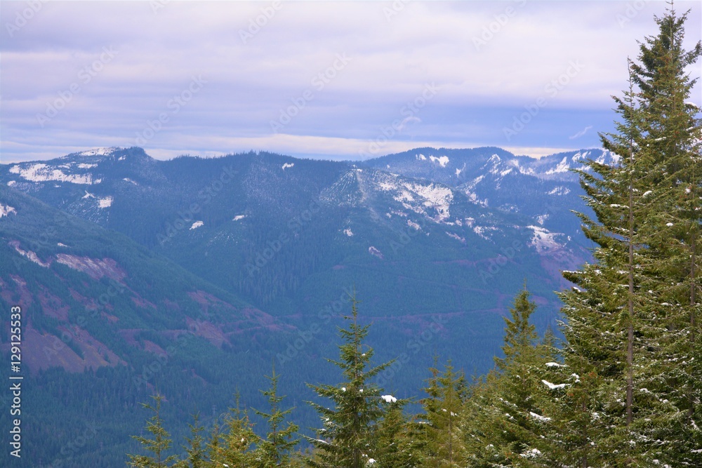 Fototapeta premium Winter Will Come