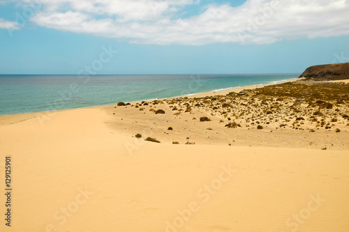 Aerial view on famous beach Playa de Sotavento on the Canary island Fuerteventura, Spain.