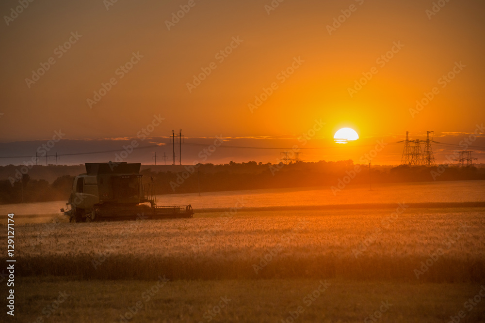 Combine harvester working on a wheat crop at sunset