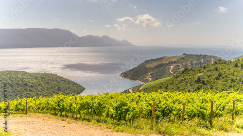 The Dalmatian coastline in Croatia with verdant vines and islands in the Adriatic Sea in the distance in summer.