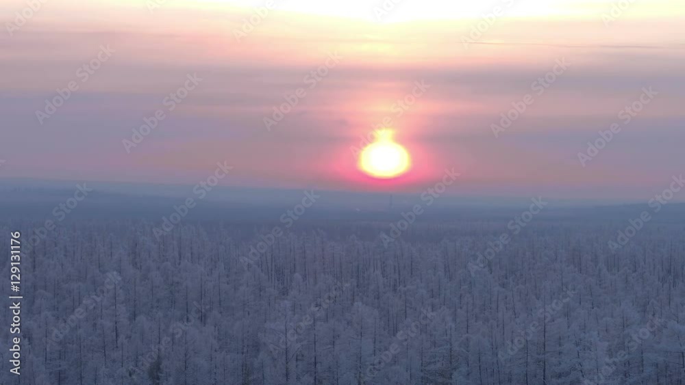 Winter northern sun on the background of the winter forest landscape aerial shot Winter northern sun on the background of the winter forest landscape aerial shot