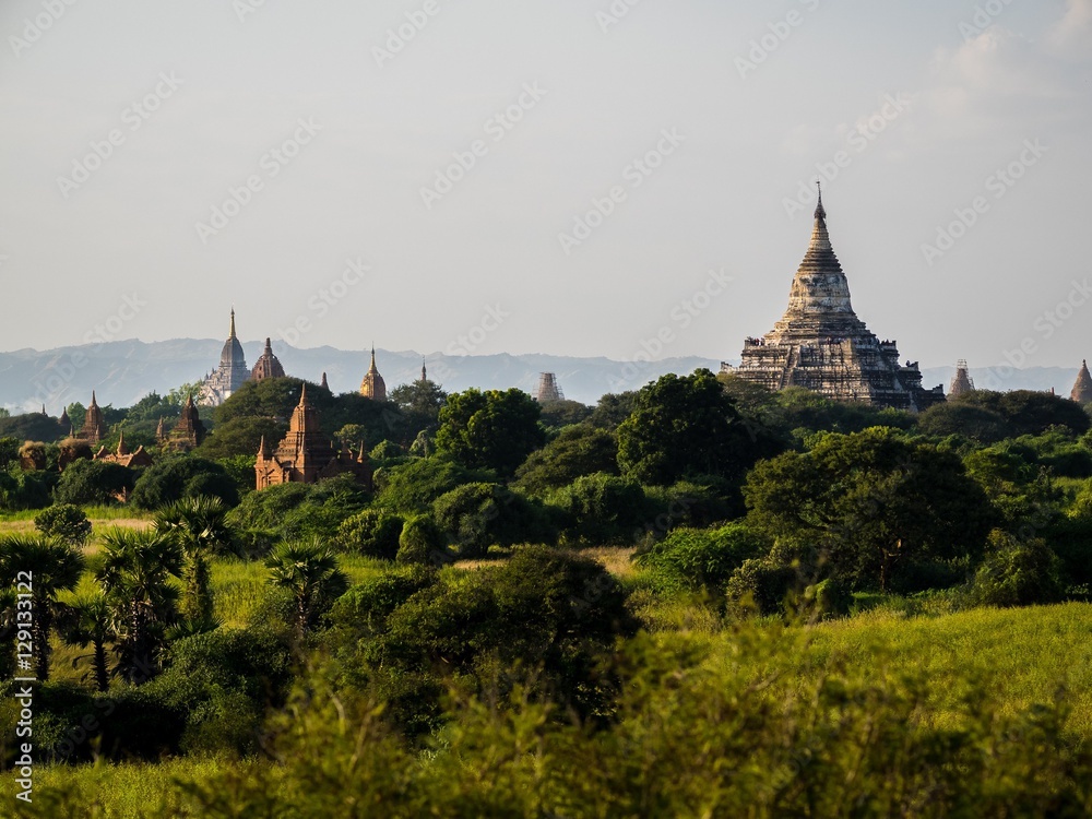 Obraz premium View over the Temples of Bagan, Myanmar