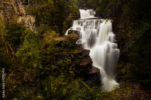 D'Alton Falls - Overland Track - Tasmania, Australia photo