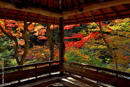 錦秋の昇仙峡天鼓林 photo