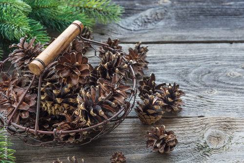 Pine cones in a metal mesh ...