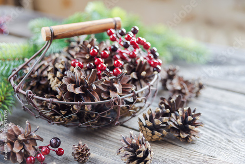 Pine cones in a metal mesh ...