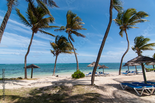 Beach with blue ocean in the Caribbean © brianguest