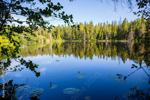 Beautiful recreational areas on the island of Valaam. Russia.